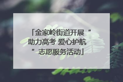 金家岭街道开展“助力高考 爱心护航”志愿服务活动