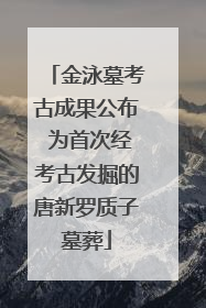 金泳墓考古成果公布 为首次经考古发掘的唐新罗质子墓葬