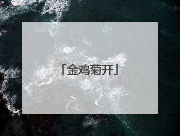 金鸡菊开
