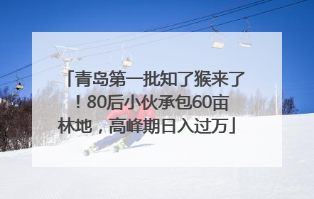 青岛第一批知了猴来了！80后小伙承包60亩林地，高峰期日入过万