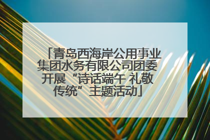 青岛西海岸公用事业集团水务有限公司团委开展“诗话端午 礼敬传统”主题活动