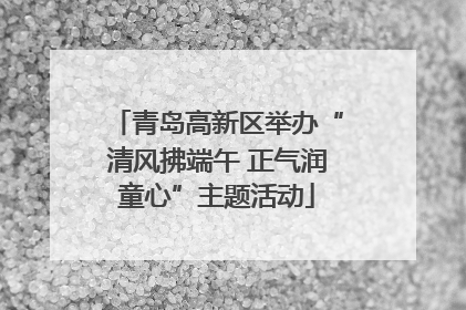 青岛高新区举办“清风拂端午 正气润童心”主题活动