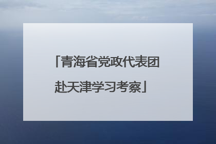 青海省党政代表团赴天津学习考察