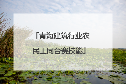 青海建筑行业农民工同台赛技能