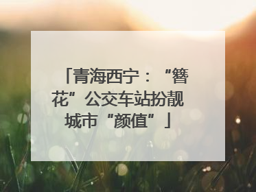 青海西宁：“簪花”公交车站扮靓城市“颜值”