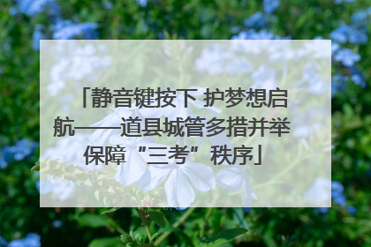 静音键按下 护梦想启航——道县城管多措并举保障“三考”秩序