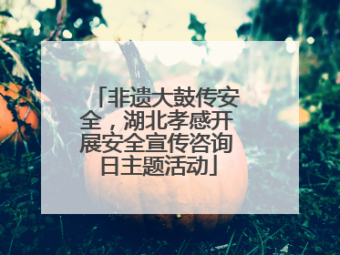 非遗大鼓传安全，湖北孝感开展安全宣传咨询日主题活动