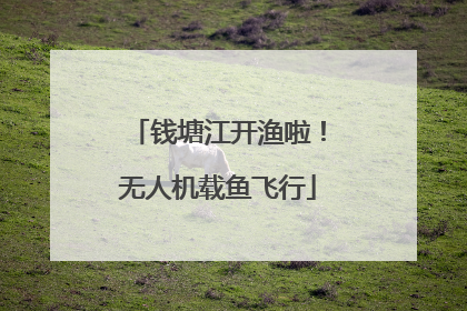 钱塘江开渔啦！无人机载鱼飞行