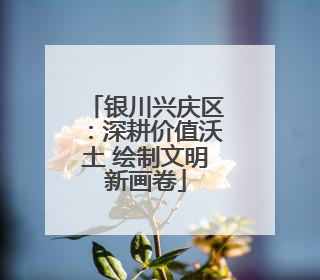 银川兴庆区：深耕价值沃土 绘制文明新画卷
