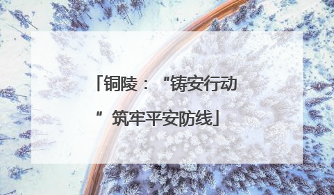 铜陵：“铸安行动”筑牢平安防线