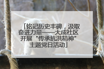 铭记历史丰碑，汲取奋进力量——大成社区开展“传承抗洪精神”主题党日活动