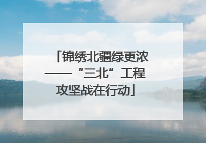 锦绣北疆绿更浓——“三北”工程攻坚战在行动