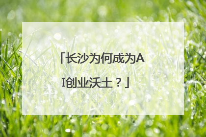 长沙为何成为AI创业沃土？