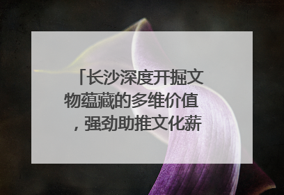 长沙深度开掘文物蕴藏的多维价值，强劲助推文化薪火的代代相传