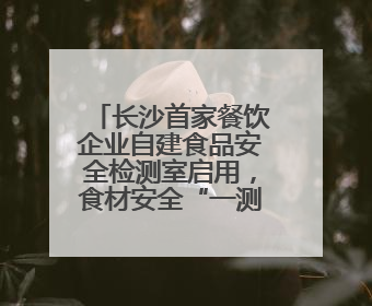 长沙首家餐饮企业自建食品安全检测室启用，食材安全“一测可知”
