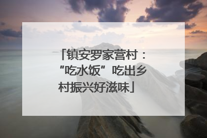 镇安罗家营村：“吃水饭”吃出乡村振兴好滋味