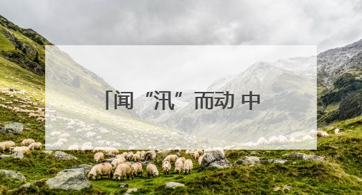 闻“汛”而动 中国太保产险丽水中支筑牢安全守护网