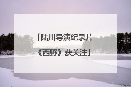 陆川导演纪录片《西野》获关注