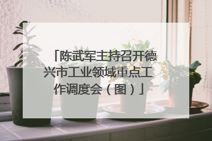 陈武军主持召开德兴市工业领域重点工作调度会（图）