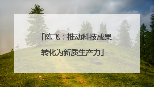 陈飞：推动科技成果转化为新质生产力