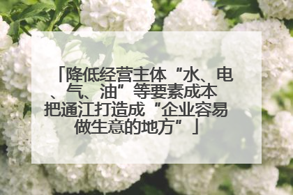 降低经营主体“水、电、气、油”等要素成本 把通江打造成“企业容易做生意的地方”
