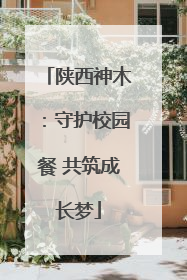 陕西神木：守护校园餐 共筑成长梦