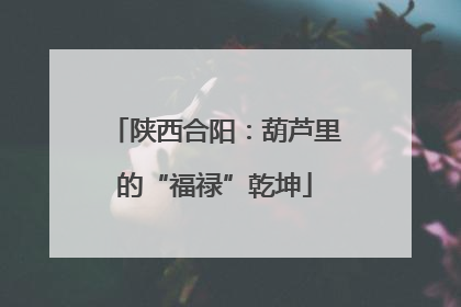 陕西合阳：葫芦里的“福禄”乾坤