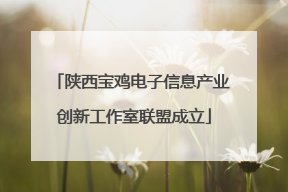 陕西宝鸡电子信息产业创新工作室联盟成立