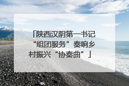 陕西汉阴第一书记“组团服务”奏响乡村振兴“协奏曲”