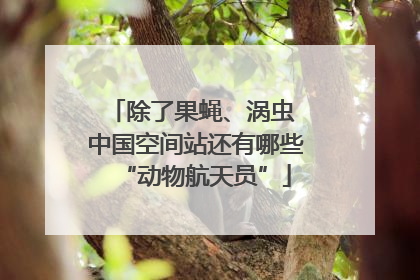 除了果蝇、涡虫 中国空间站还有哪些“动物航天员”