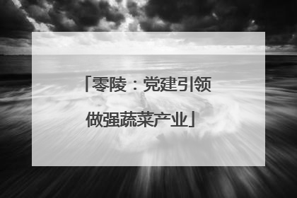 零陵：党建引领 做强蔬菜产业