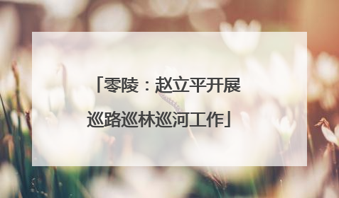 零陵：赵立平开展巡路巡林巡河工作