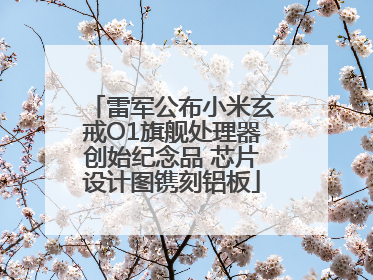 雷军公布小米玄戒O1旗舰处理器创始纪念品 芯片设计图镌刻铝板