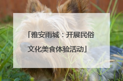 雅安雨城：开展民俗文化美食体验活动