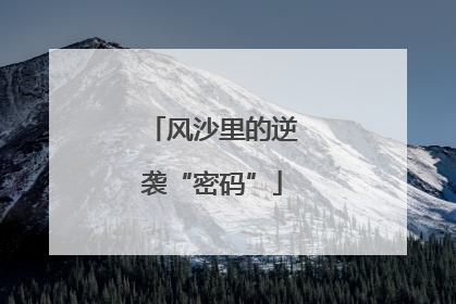 风沙里的逆袭“密码”