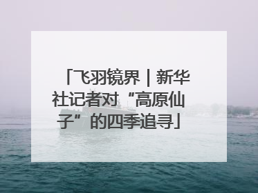 飞羽镜界｜新华社记者对“高原仙子”的四季追寻