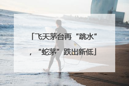 飞天茅台再“跳水”，“蛇茅”跌出新低