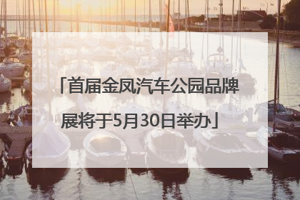 首届金凤汽车公园品牌展将于5月30日举办
