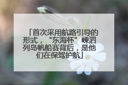 首次采用航路引导的形式，“东海杯”嵊泗列岛帆船赛背后，是他们在保驾护航