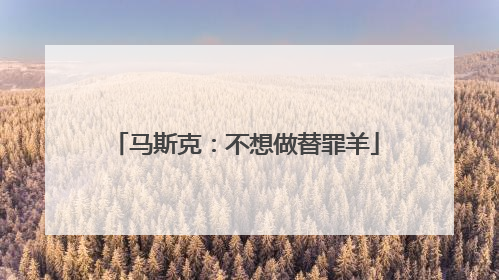 马斯克：不想做替罪羊