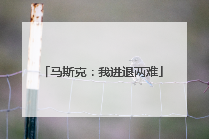 马斯克：我进退两难
