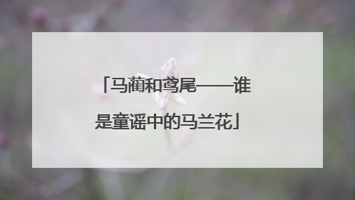 马蔺和鸢尾——谁是童谣中的马兰花