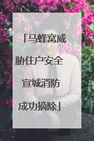 马蜂窝威胁住户安全 宣城消防成功摘除