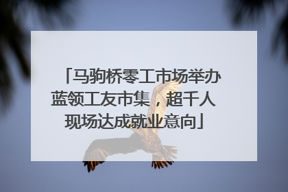 马驹桥零工市场举办蓝领工友市集，超千人现场达成就业意向
