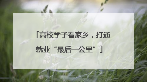 高校学子看家乡，打通就业“最后一公里”