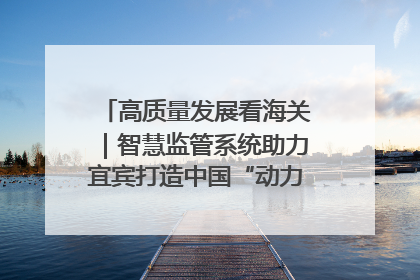 高质量发展看海关｜智慧监管系统助力宜宾打造中国“动力电池之都”