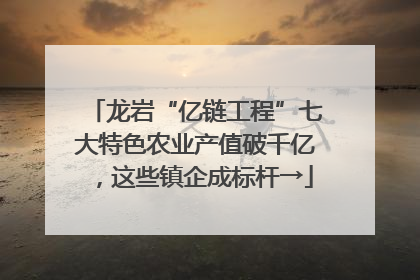 龙岩“亿链工程”七大特色农业产值破千亿，这些镇企成标杆→