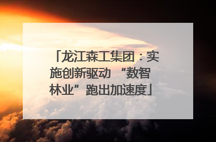 龙江森工集团：实施创新驱动 “数智林业”跑出加速度
