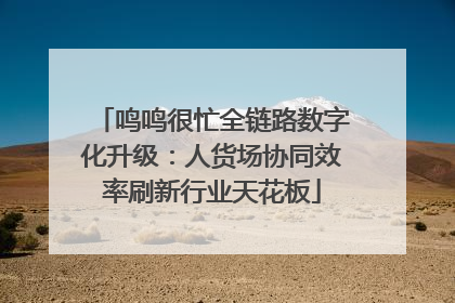 鸣鸣很忙全链路数字化升级：人货场协同效率刷新行业天花板