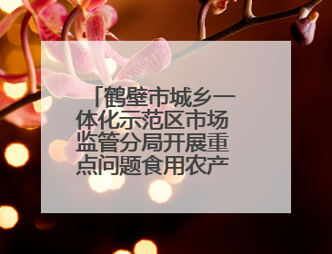 鹤壁市城乡一体化示范区市场监管分局开展重点问题食用农产品专项整治